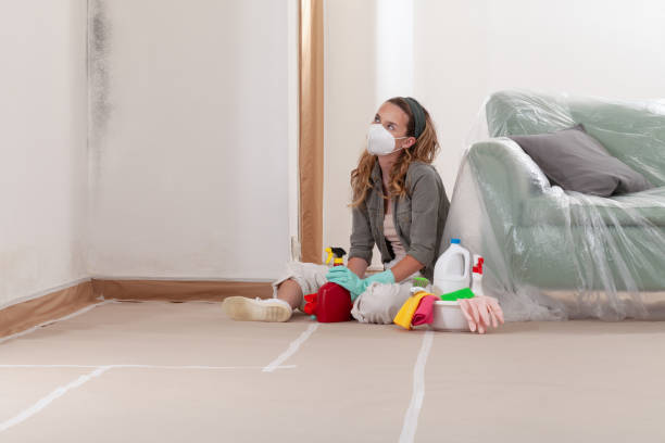 Reliable Mold Testing contractor in Nederland, TX by WQB Mold Removal